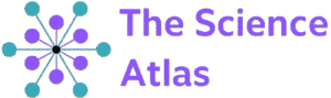AI for Physics Students: The Complete Guide